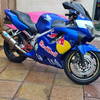 Honda CBR 600f4 redbull edition