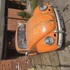 1972 vw beetle