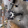 BMW gs