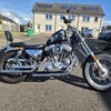 1986 harley sportster xlh1100