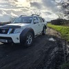 2011 d40 navara pickup truck