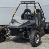 Ripster 200cc buggy made in usa