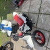 Pw 50