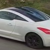 Peugeot rcz