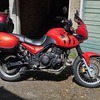 Triumph tiger 955i