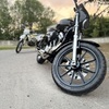 Harley Davidson sportster 883/1200