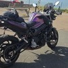 BMW F800R 2009
