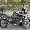 Triumph tiger 800