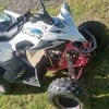 Quadzilla spider 110cc 2019