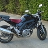 Suzuki Sv 650 2008 Delkevic VGC