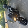 2005 CBF600 SA