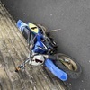 Champ sx 50