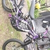 2023 surron light bee x