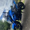 2019 Suzuki gsxs