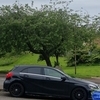 Mercedes amg
