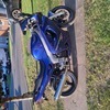Triumph sprint st 955i