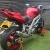 Suzuki sv1000