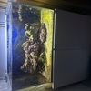 Try me marine setup for why