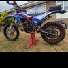 Beta 300 70 plate