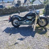 Suzuki vl800 intruder