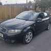audi a3 sport