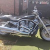 Harley vrod