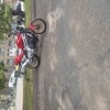 Aprilia falco SL1000
