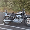 2005 Harley Davidson xl1200r *24k*