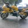 Ford Transit Connect & Suzuki SV650