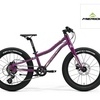 20” specialized bike20” Merida bike