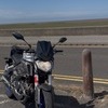 MT 125