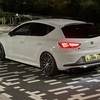Cupra 290 427bhp Animal