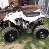 Grizzly 125 and 110 quad