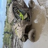 Can am maverick 1000cc turbo