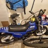 Pw 50
