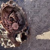 Kia Sportage gearbox 1.7 diesel