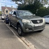 Great Wall steed