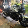 Yamaha FZ1-N