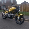 ducati monster