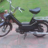 wanted puch maxi's dead or alive