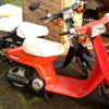 Honda Melody and Mini Melody's WANTED COVENTRY AREA